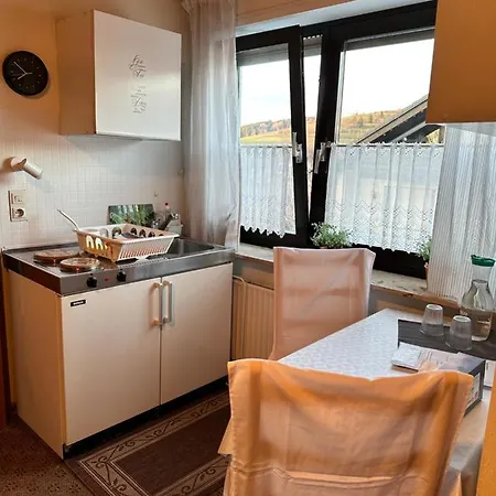 Fewo Klingelhoefer Willingen  Extérieur photo